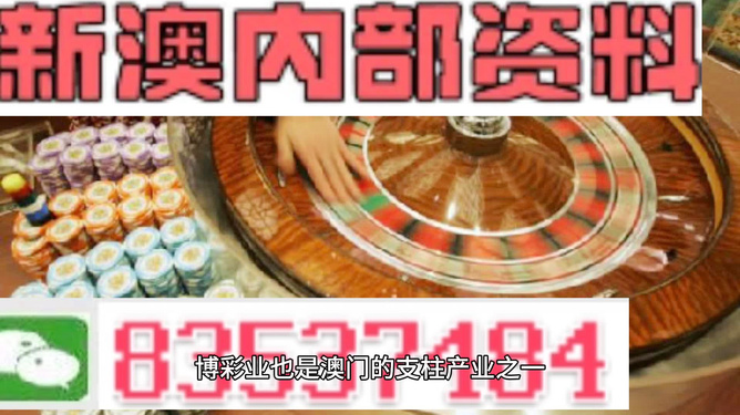 澳门精准资料大全正版资料小视频|精选解释解析落实,澳门精准资料大全正版资料小视频，解析与落实精选解释