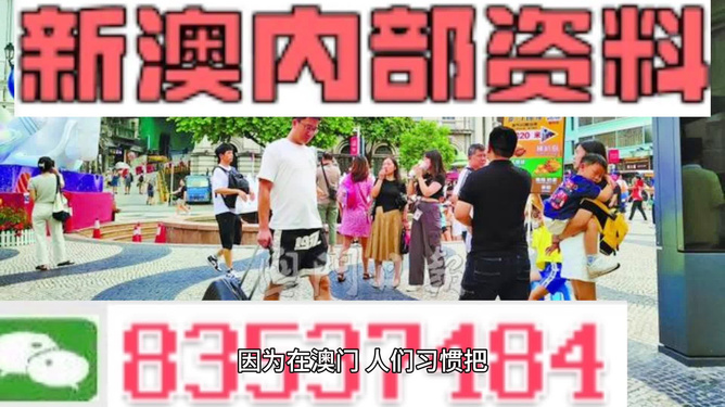 2020澳门精准资料大全—欢迎|精选解释解析落实,澳门精准资料大全——精选解析落实的探讨与欢迎