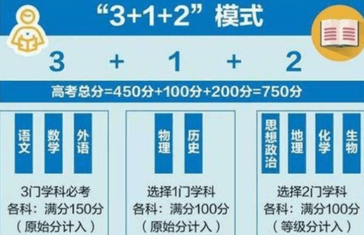 新奥门免费资料大全历史记录开马|精选解释解析落实,新澳门免费资料大全历史记录开马，精选解释解析与落实策略