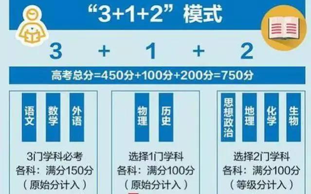 2025年新溪门天天开彩|精选解释解析落实,解析新溪门天天开彩，展望与落实策略